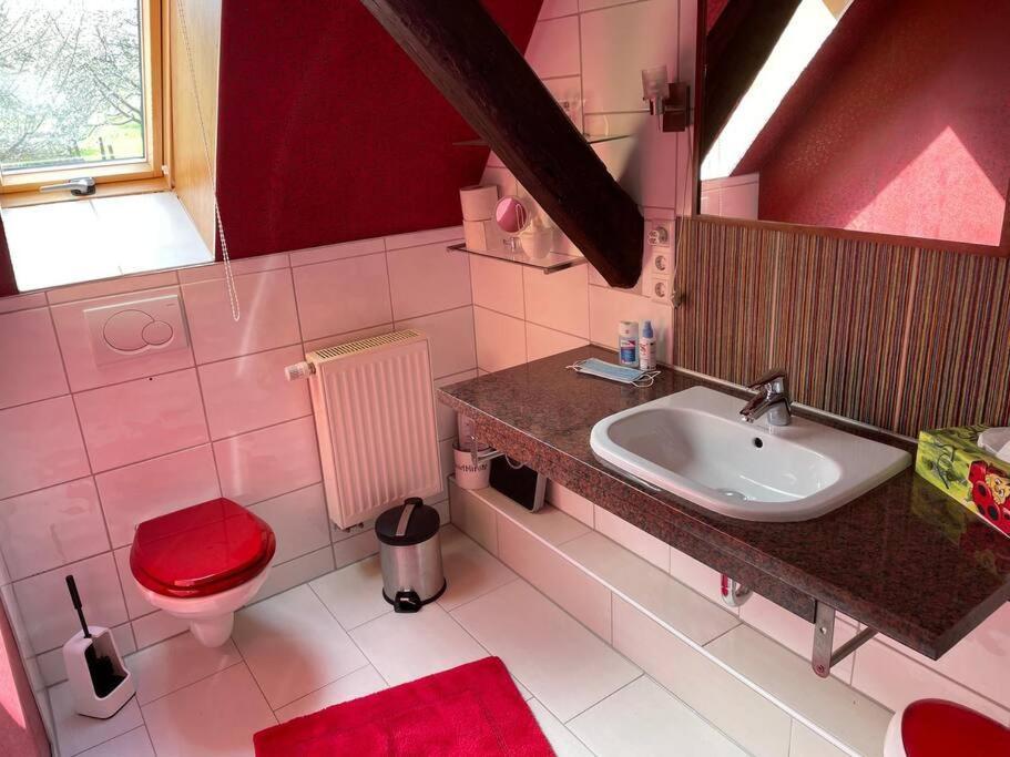 Traumhafte Maisonette-Wohnung Im Schwarzwald Freudenstadt Exterior foto